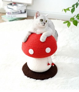 Gym hutan kucing bentuk jamur merah multifungsi