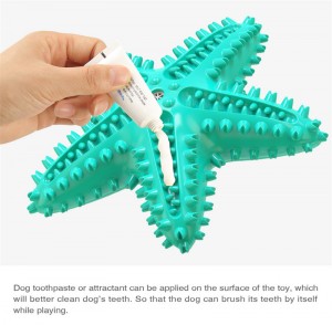 Starfish Squeaky Teeth Cleaning Water Toys ခွေးများအတွက် ရေပေါ်ကစားစရာများ