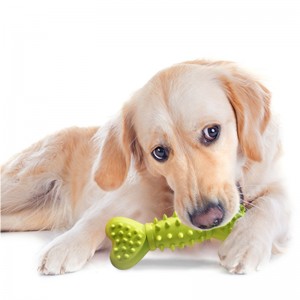 TPR Bone Shape Squeaky Dog Chew Toy