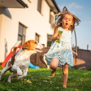 Mainan Kunyah Anjing Berderit Bentuk Tulang TPR