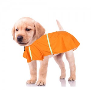 beejay dog ​​rain coat