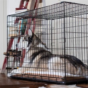 Kyakkyawan Sunan Mai Amfani ga China Pet Playpen Wire Rabbit Cage don Ƙananan Dabbobi tare da Trays masu zaman kansu guda 6