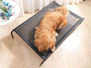 Cama elevada para cans de luxo extra grande e resistente