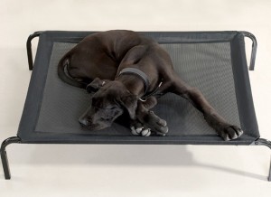 Heavy Duty Extra Large Luxury Elevated Dog Bed