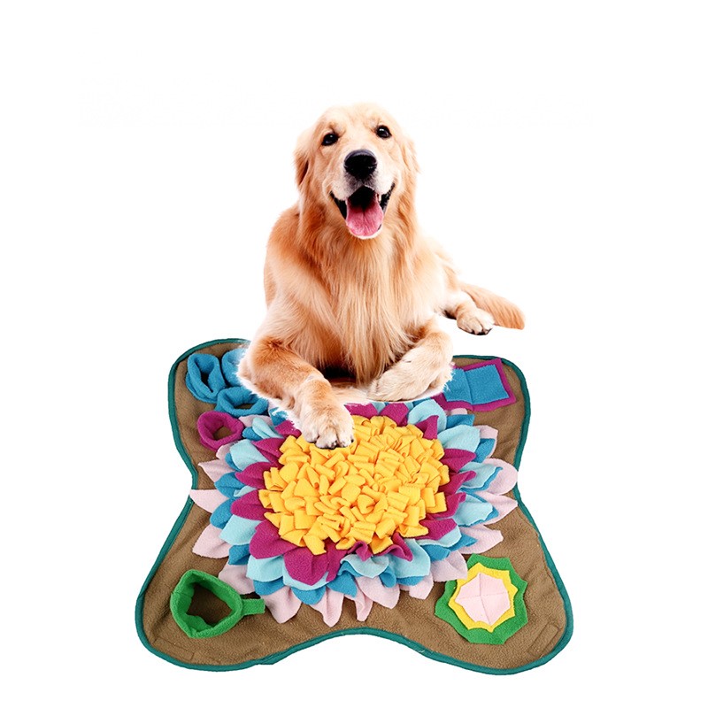 IQ رانديڪا Sunflower sucker dog Food pad مشق ڪري ٿو قدرتي چارڻ جي صلاحيتن