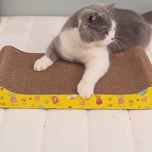 Cat Claw scratcher board Toy With Catnip pet toys