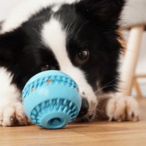 Tandrensning utæt mad gummibold træning IQ legetøjsbold