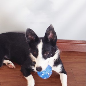 TPR đàn hồi lắc hoạt động bóng lăn Đồ chơi cho chó