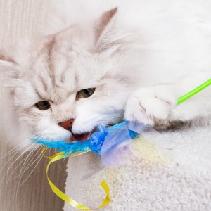 Tüy Parıltılı halka kağıt çan kedi değnek oyuncakları