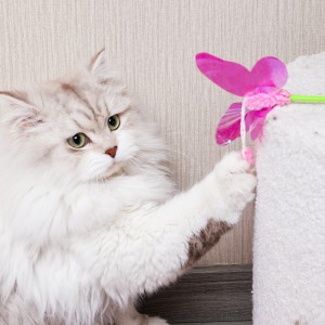 Feather Glitter ring paper bell cat wand toys