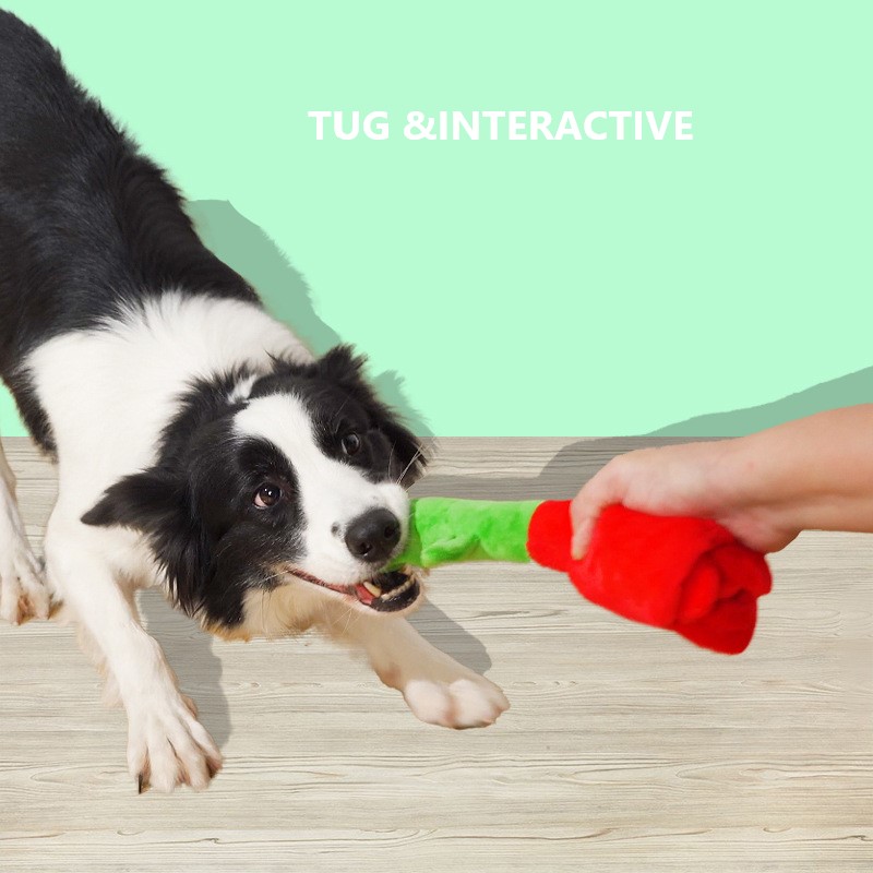 For Valentine’s Day, dogs hide hard-wearing dog vocalizing toys