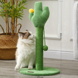 Mačka od sisala penje se na stablo kaktusa s loptom