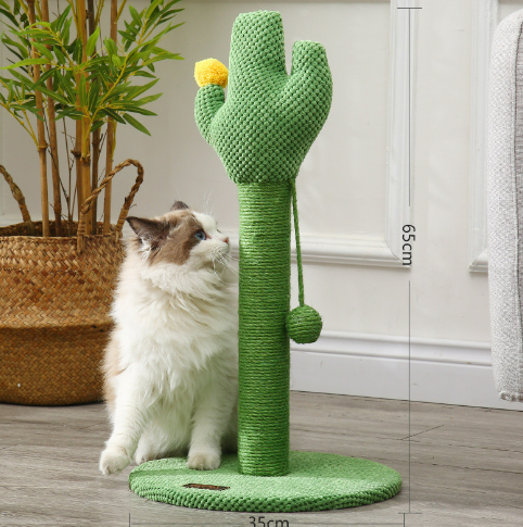 Sisal cat climbing cactus tree with ball