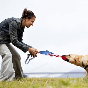 बड़ा कुत्ता चबाने योग्य शार्क स्क्वीकी टीज़ रस्साकसी लंबे समय तक चलने वाले कुत्ते की रस्सी के खिलौने