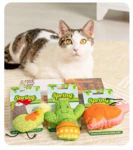 Simule des jouets interactifs en peluche pour chat à mâcher à la menthe, animaux et végétaux.