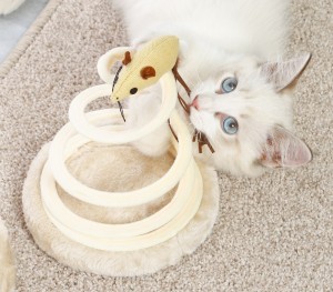 Kattenveerbel interactief kattenspeeltje