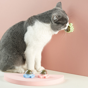Mačka u obliku puža koja se okreće Mačja metvica zidne igračke s loptom od mačje metvice