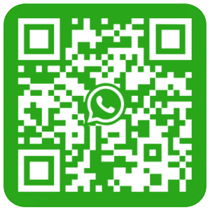 +86133 9695 8981