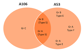 الفرق بين الأنابيب A53 والأنابيب A106
