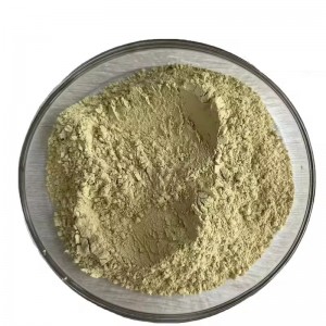 Factory Supply Kub Muag Liposome Quercetion Powder