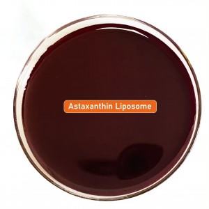 Venda quente de alta qualidade Lipossoma Natural Astaxantina