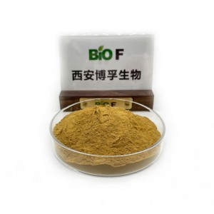 Ufa Wapamwamba wa Purslane 10: 1 Herb Portulaca Oleracea Extract powder