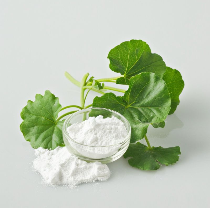 Centella Asiatica Extract Powder —— The Rising Star in Natural Health Supplements