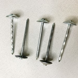 Galvanized Smooth/Barbed Shank Umbrella Head Roofing Nail