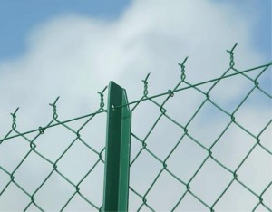 Гарячий продаж ПВХ покриття Galvanzied Chain Link Fence