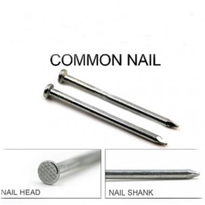 bright polished galvanized round head iron nail common wire nails