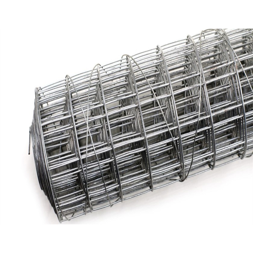 Good Quality Stainless Steel - China Top Supplier Welded Wire Mesh In Panel/Roll (Cheap Price) – Bluekin