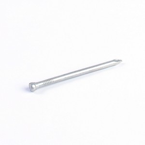 best price of hardware common nails with no head
