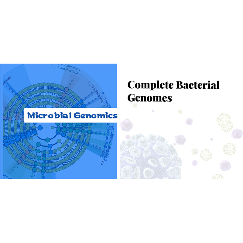 Bacteria Complete Genome
