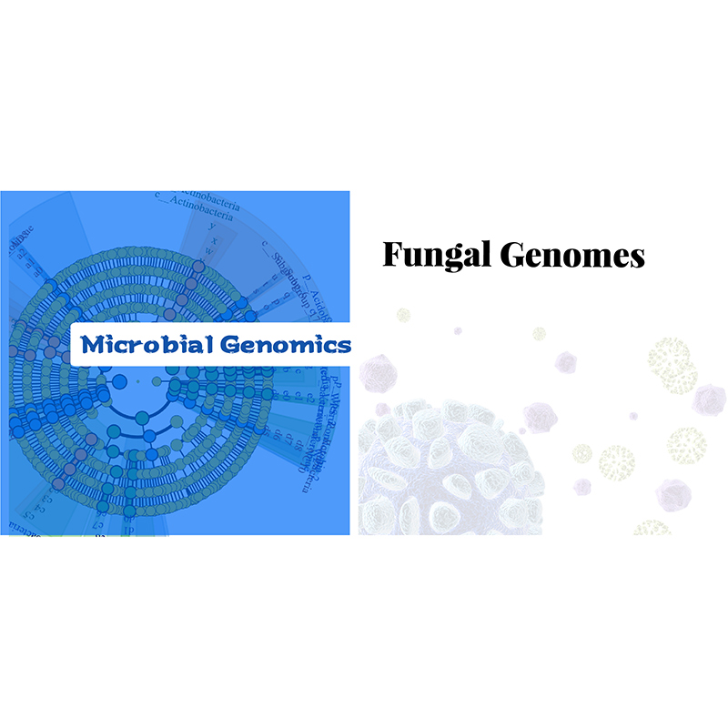 Fungal complete genome
