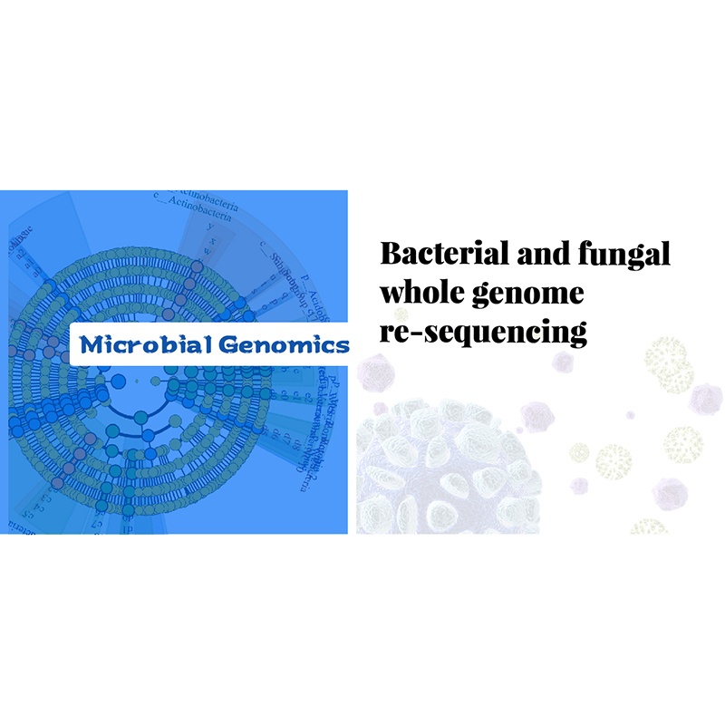 Re-sekvensering av hele genomet av bakterier og sopp