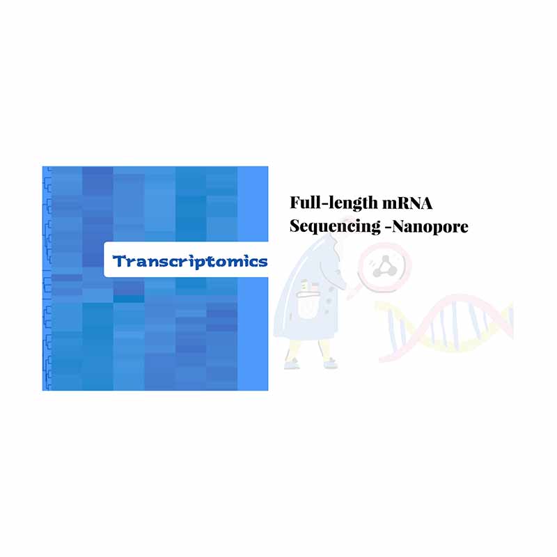 Full-length mRNA sequencing-Nanopore