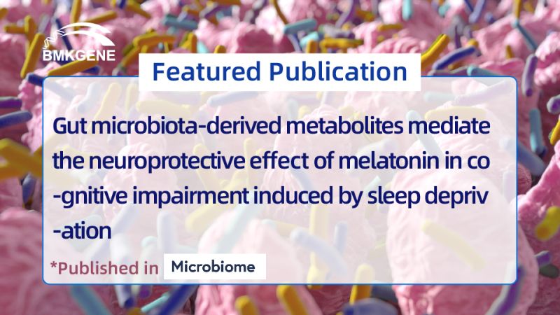 Рекомендуемая публикация – Метаболиты, полученные из кишечной микробиоты, опосредуют нейропротекторный эффект мелатонина при когнитивных нарушениях, вызванных лишением сна.