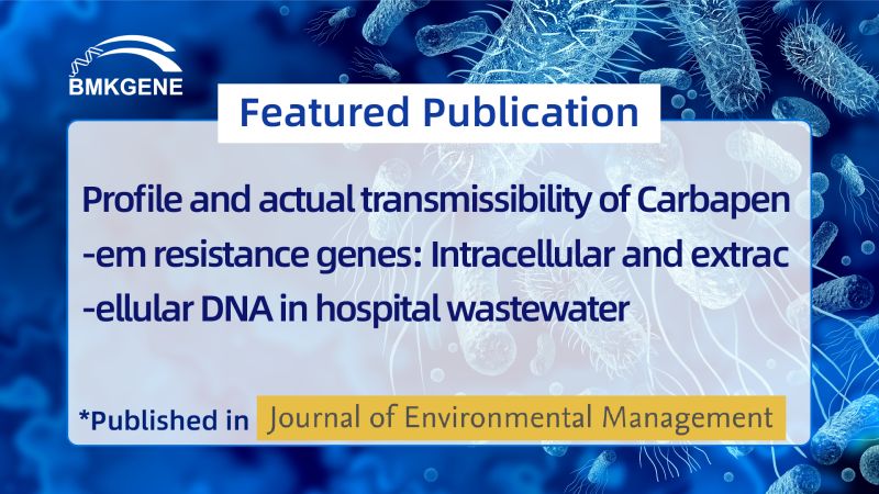 Featured Publication–Profile and actual transmissibility of Carbapenem resistance genes: Intracellular and extracellular DNA in hospital wastewater