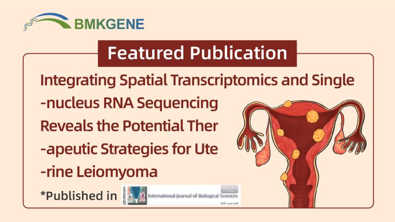 Publicación destacada: La integración de la transcriptómica espacial y la secuenciación de ARN de un solo núcleo revela las posibles estrategias terapéuticas para el leiomioma uterino