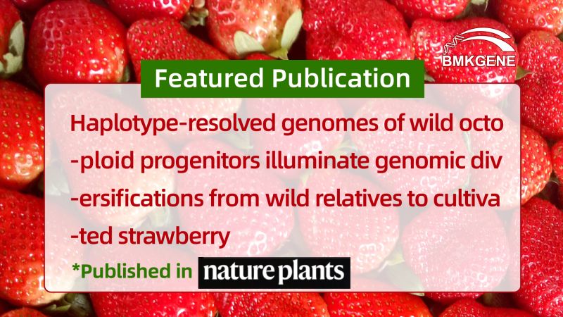 Empfohlene Veröffentlichung: Haplotyp-aufgelöste Genome wilder oktoploider Vorläufer beleuchten genomische Diversifikationen von wilden Verwandten bis hin zu kultivierten Erdbeeren