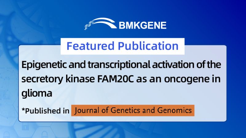 Featured Publication—Epigenetic and transcriptional activation of the secretory kinase FAM20C as an oncogene in glioma