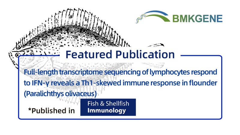Featured Publication—Full-length transcriptome sequencing of lymphocytes respond to IFN-γ reveals a Th1-skewed immune response in flounder (Paralichthys olivaceus)