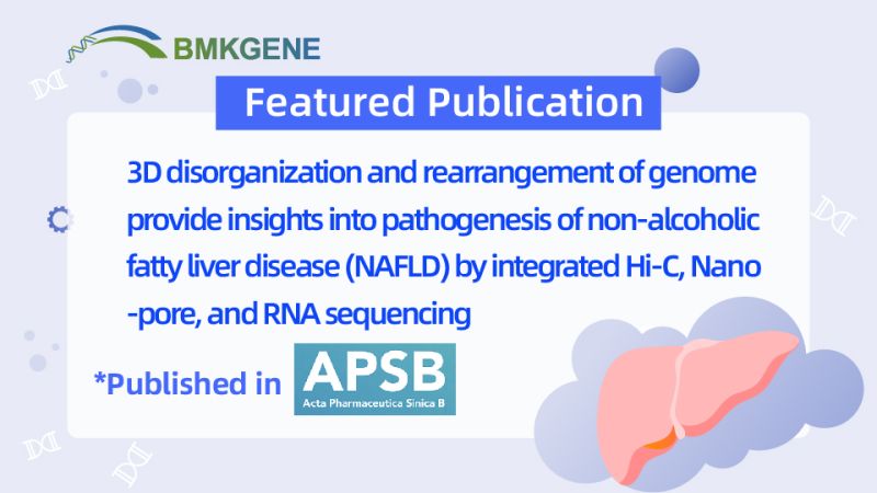 Рекомендуемая публикация — 3D-дезорганизация и перестройка генома дают представление о патогенезе неалкогольной жировой болезни печени (НАЖБП) с помощью интегрированного Hi-C, нанопорового секвенирования и секвенирования РНК.