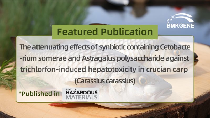 ការបោះពុម្ពផ្សាយពិសេស - ឥទ្ធិពលកាត់បន្ថយនៃ synbiotic ដែលមាន Cetobacterium somerae និង Astragalus polysaccharide ប្រឆាំងនឹងជាតិពុល hepatotoxicity ដែលបណ្តាលមកពី trichlorfon នៅក្នុងត្រីគល់រាំង crucian (Carassius carass ...