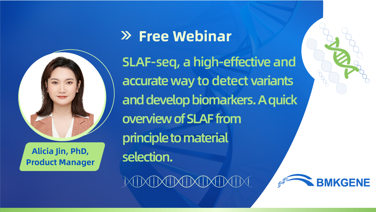 SLAF-seq, a high-effective and accurate way to detect variants and develop biomarkers. A quick overview of SLAF from principle to material selection.