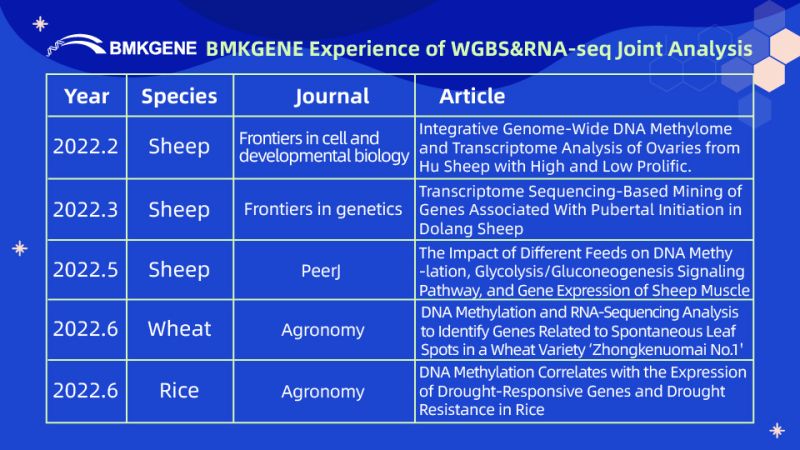 BMKGENE Erfaring med WGBS&RNA-seq Joint Analysis