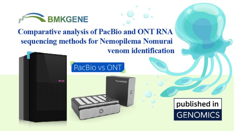 פרסום מוצג - ניתוח השוואתי של שיטות רצף PacBio ו-ONT RNA לזיהוי ארס נמופילמה נומוראי