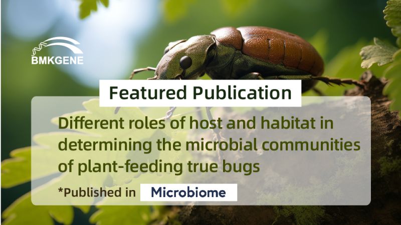 Featured Publication-Ferskillende rollen fan gasthear en habitat by it bepalen fan 'e mikrobiele mienskippen fan plant-fiedende wiere bugs