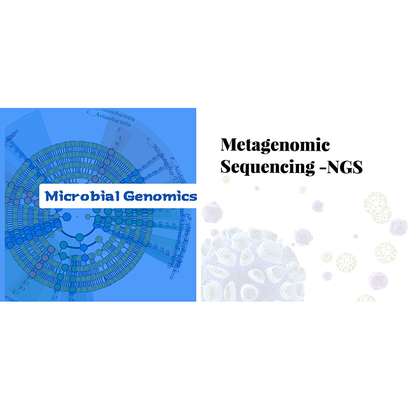 Seicheamh metagenomic -NGS