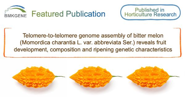 Featured Publication–Telomere-to-telomere genome assembly of bitter melon (Momordica charantia L. var. abbreviata Ser.) reveals fruit development, composition and ripening genetic characteris...